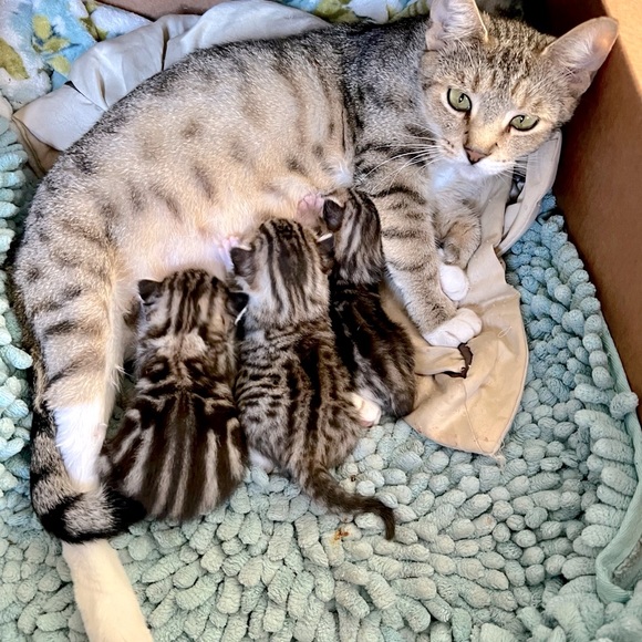 😍See something you must have? - Picture 3 of 16